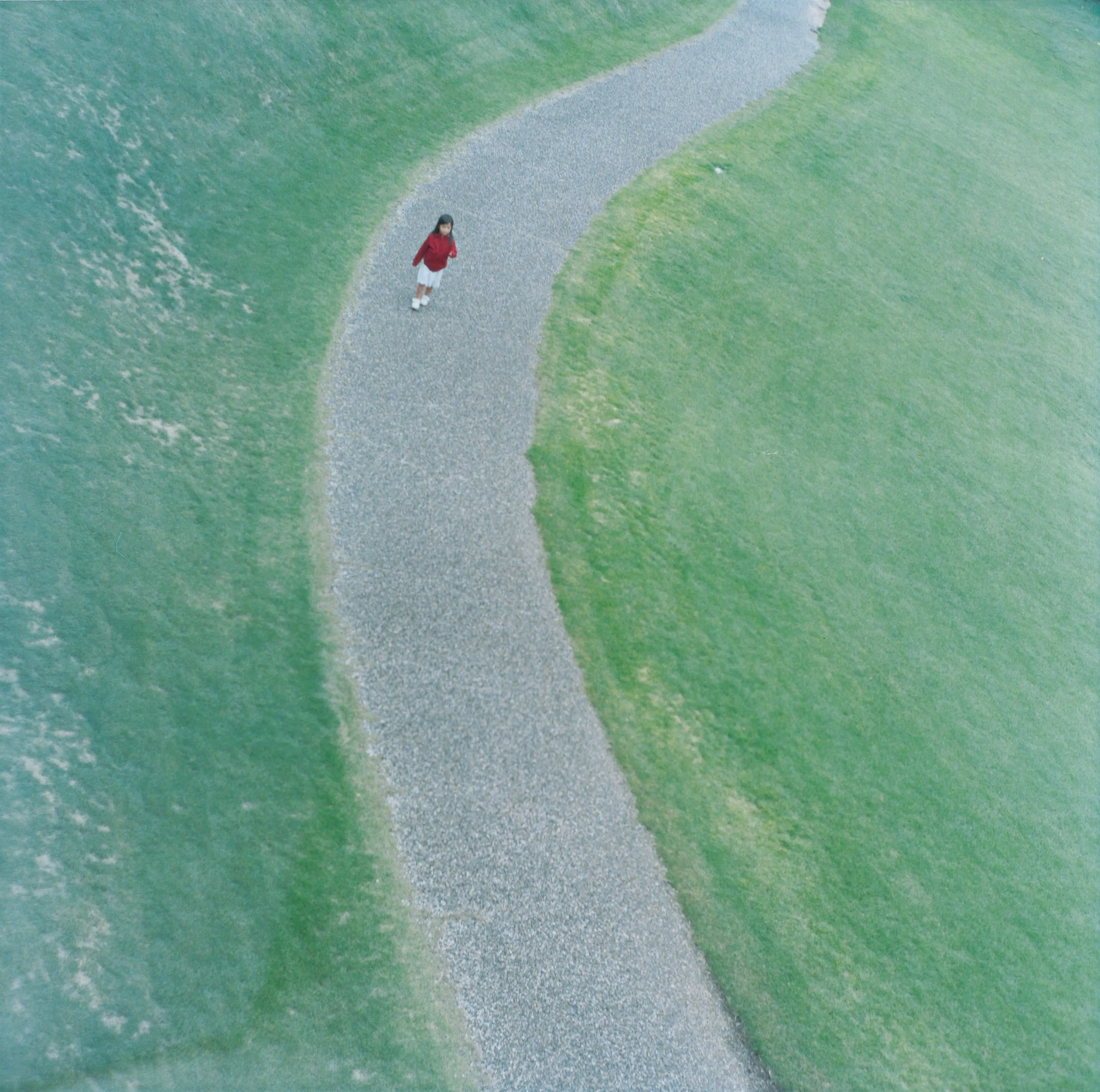 无题, 选自 《连结》系列, 2015 ©️川内伦子，图片来源：Christophe Guye Galerie（苏黎世）