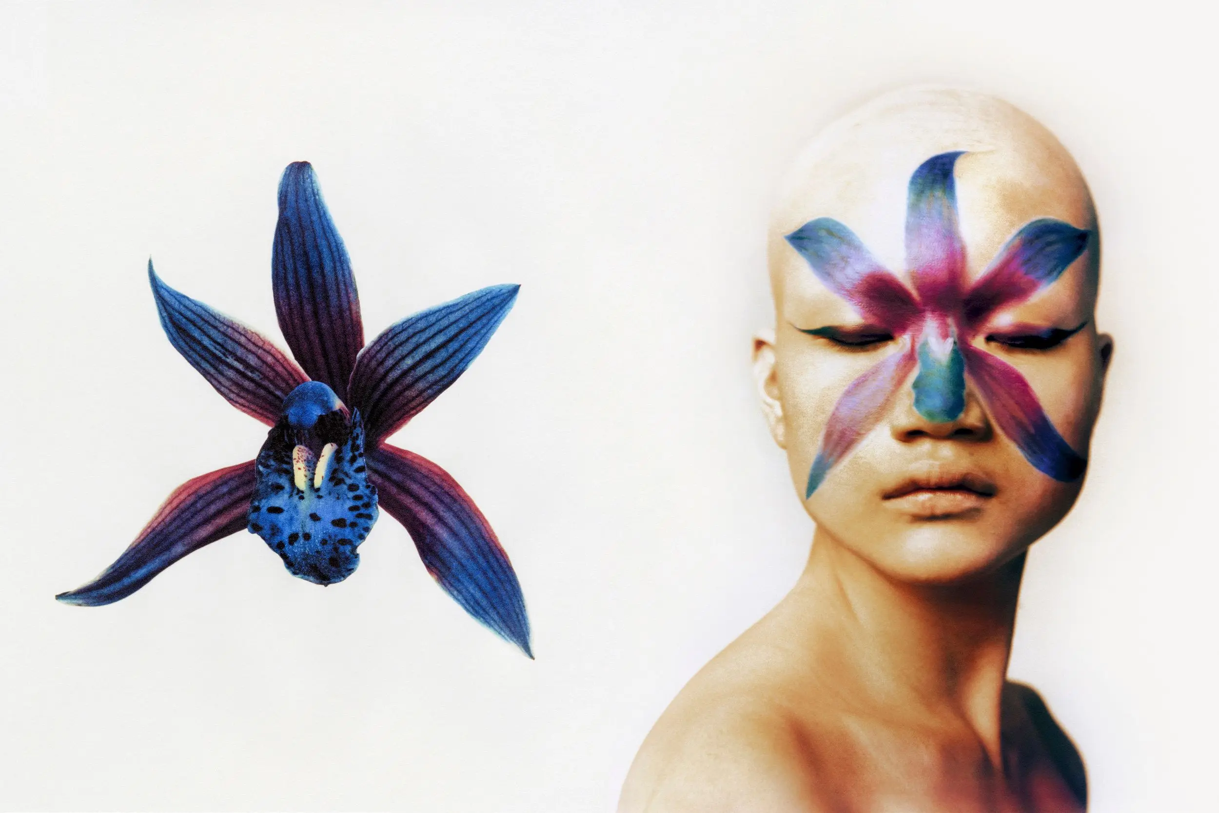 Flower Study From the series FLOWER STUDY, 2021 © Cho Gi-Seok