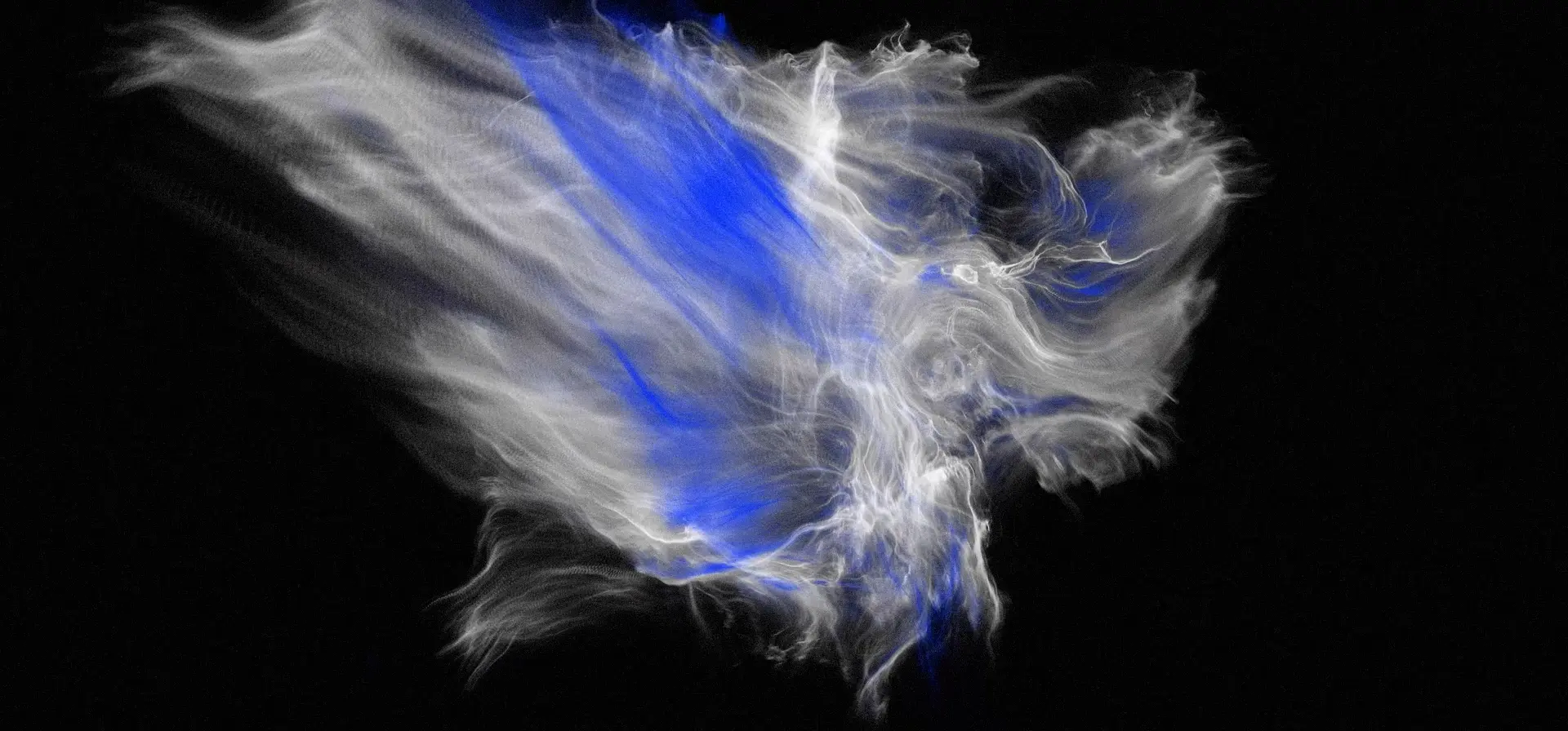 Video Still From the series Fragmented Echoes, 2024 © Shi Zheng